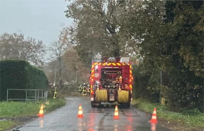 Routes bloquées, coupures d’électricité… Les conséquences de la tempête Caetano en Sud Gironde