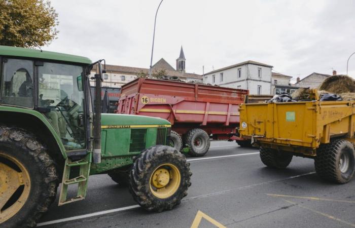 La colère éclate à Bordeaux, d’autres villes ciblées ?