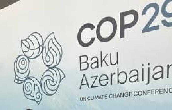 COP29 : quel avenir pour les gardiens de l’environnement en Afrique ?