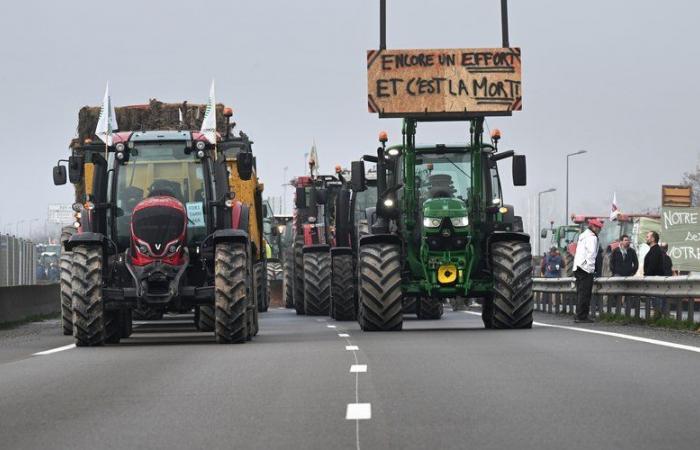 démonstrations, filtrage… Ce que prévoient les agriculteurs de l’ouest toulousain