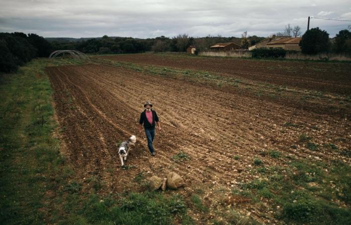 la réforme du RSA fragilise les agriculteurs