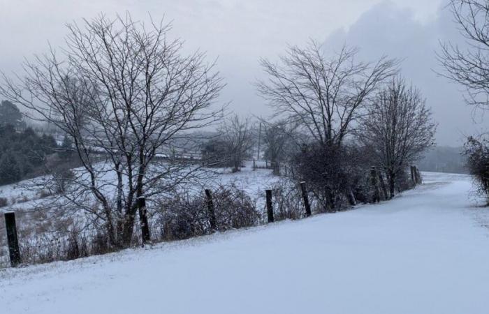 Oui, nous avons utilisé le mot « neige » dans les prévisions pour la semaine prochaine.