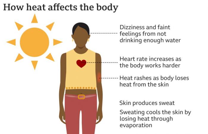 Comment fonctionnent les alertes sanitaires de froid et de chaleur ?