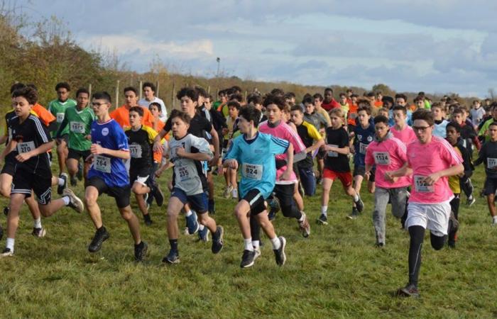 aux écoles départementales de l’UNSS, le sport scolaire comme on l’aime