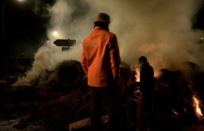 DIRECT. Colère des agriculteurs : le port de commerce de Bordeaux bloqué, de nouvelles actions ce jeudi dans le Sud-Ouest