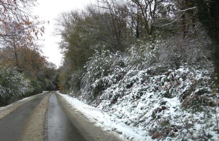 EN IMAGES. Dans les Côtes-d’Armor, plusieurs centimètres de neige ont recouvert le paysage