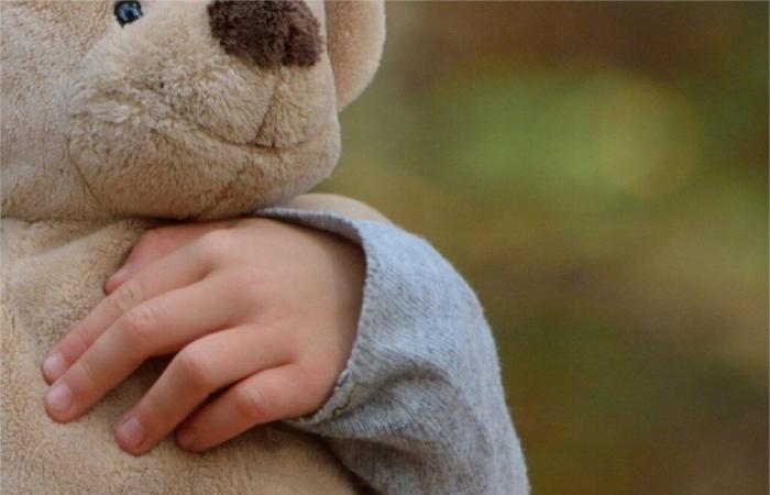 Originaire du Lot-et-Garonne, il vendait sur internet des peluches dangereuses pour enfants