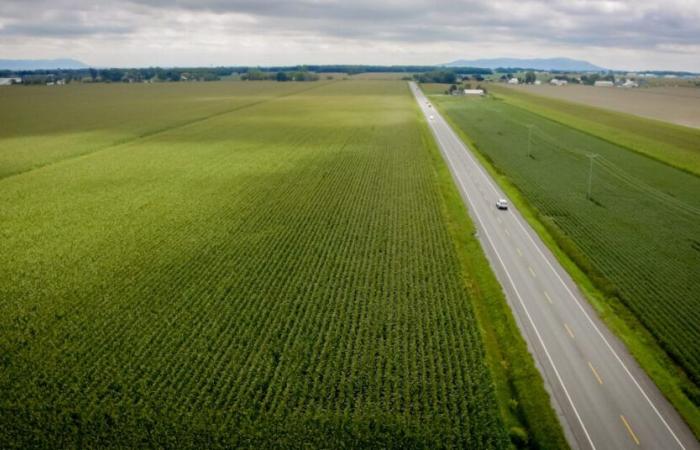 Saint-Hyacinthe autorisé à aménager le chemin d’accès