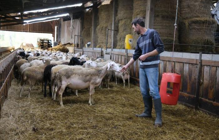 quatre agriculteurs issus de grands syndicats expliquent pourquoi ils s’opposent à l’accord de libre-échange avec le Mercosur