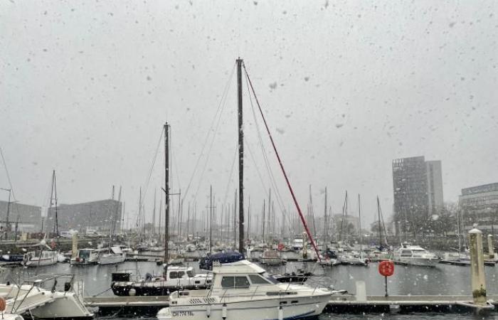 la neige arrive enfin au Havre