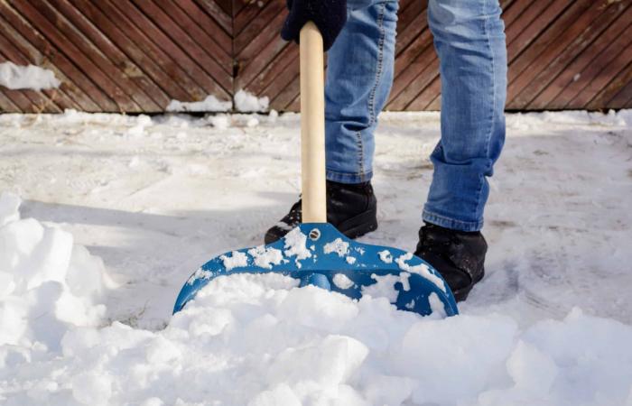 Vous devez saler votre entrée avec la première neige qui arrive ? Alternatives pour protéger votre sol – Masculin.com