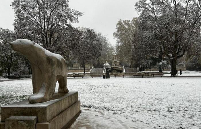 EN PHOTOS – Nos plus belles photos de neige en Côte-d’Or et Saône-et-Loire