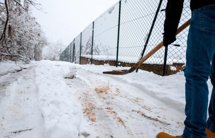 Vous devez saler votre entrée avec la première neige qui arrive ? Alternatives pour protéger votre sol – Masculin.com