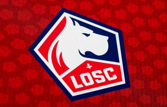 LOSC en vente : Mythe ou réalité ?