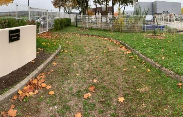 Cette commune du Val-d’Oise ouvre un jardin du souvenir animal