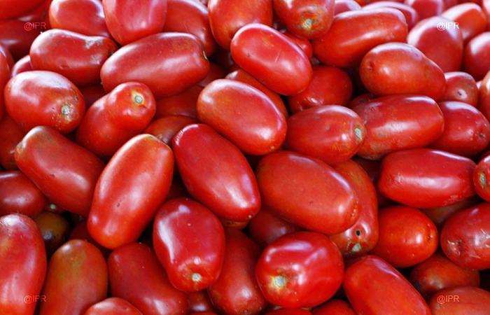 Les vendeurs de tomates sous surveillance renforcée par la préfecture de Mayotte