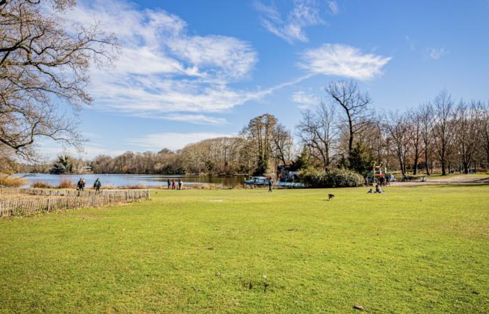 Lyon. Une épidémie se propage parmi ces animaux dans le parc de la Tête d’Or : que se passe-t-il ?