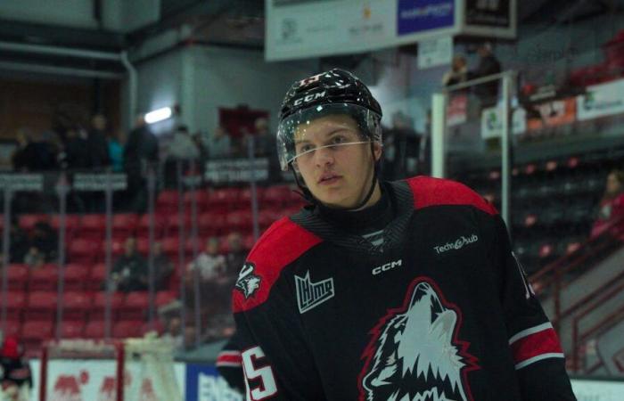 Lars Steiner, ce Suisse de 17 ans qui a mis le Canada à ses pieds