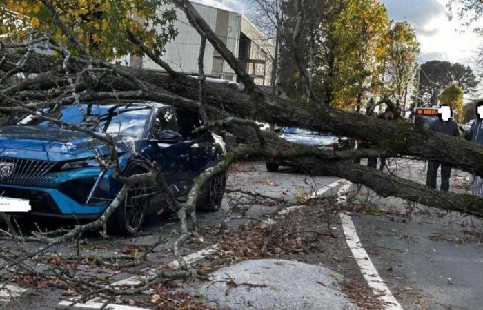 En Loire-Atlantique, la tempête Caétano fait dix blessés et sème le chaos dans les transports