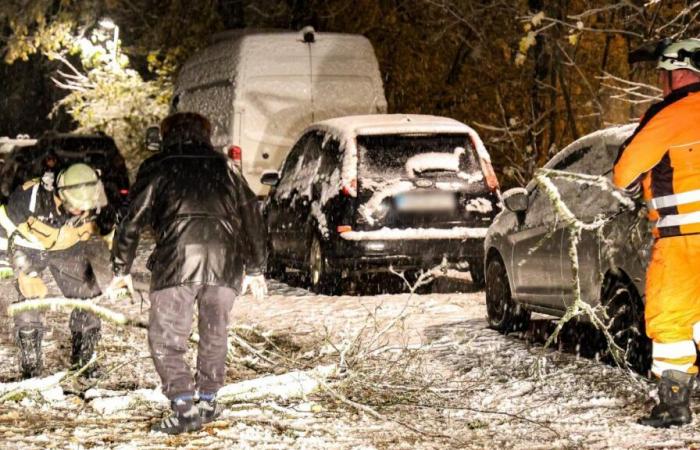 « Danger pour la vie et l’intégrité physique » – Le service météorologique allemand met en garde contre des tempêtes de neige