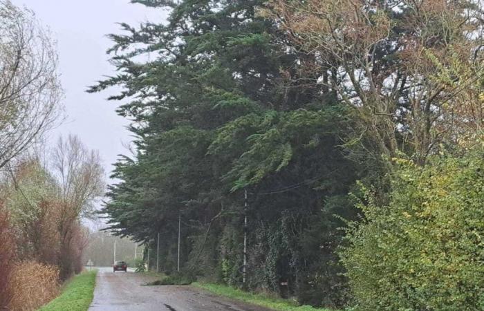 le bilan de la tempête Caetano à midi en Vendée