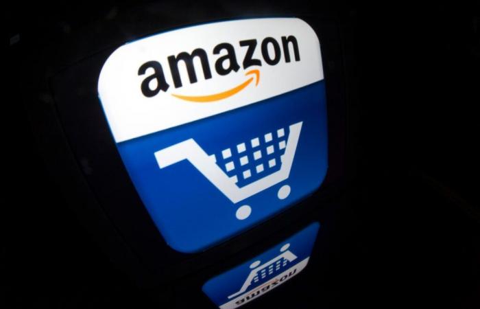 « Amazon s’arroge le pouvoir d’interpréter la loi à son profit et de fouler aux pieds la loi votée par le Parlement souverain »