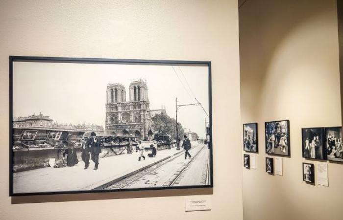 l’exposition gratuite à la galerie Roger-Viollet