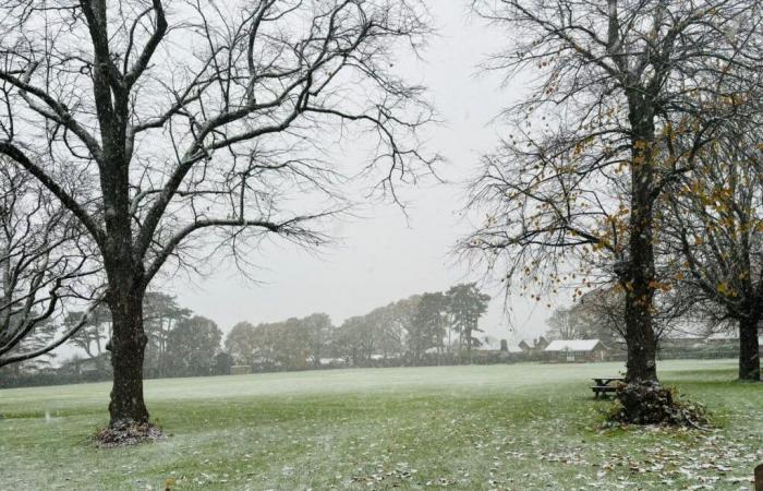 Une poignée de neige frappe le Hampshire alors qu’un avertissement météorologique est émis