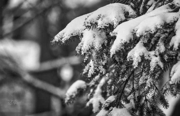 Variation de l’altitude de l’accumulation de neige jusqu’à jeudi soir et vendredi matin