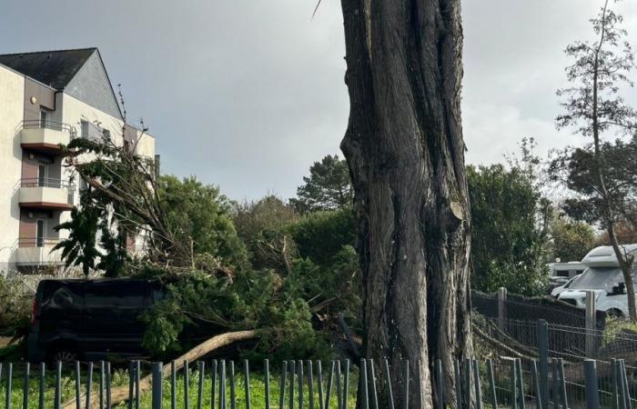 des rafales de plus de 100 km/h enregistrées en Loire-Atlantique et en Vendée