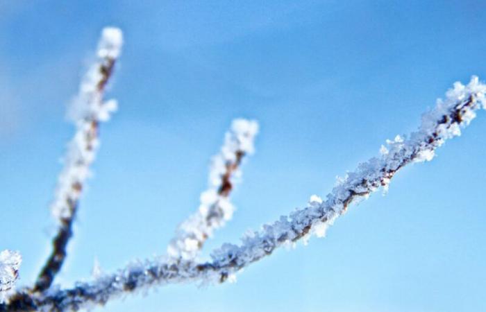 Avertissements en vigueur alors que le temps froid persiste