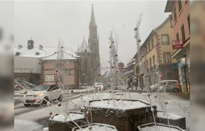 EN IMAGES – la neige tombe à gros flocons dans la plaine d’Alsace