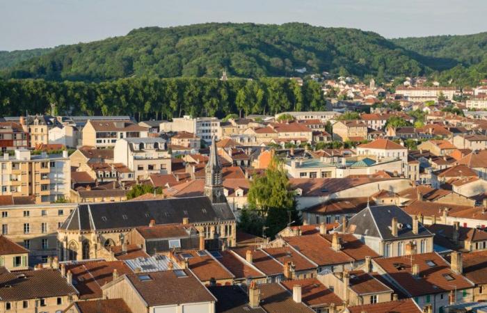 dans la Meuse et les Vosges, les ventes ne décollent pas