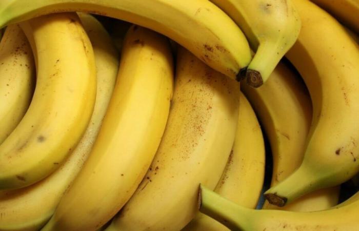 Banane durable au juste prix : les distributeurs face à leurs responsabilités