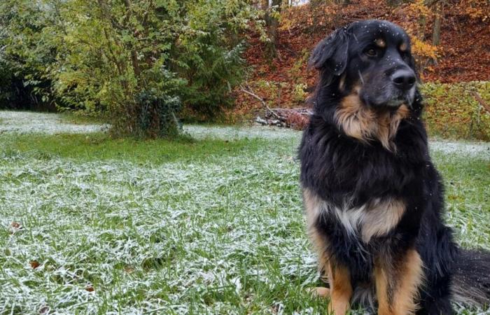 la neige arrive dans la Marne et l’Aisne