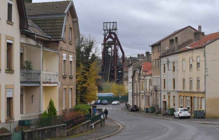 La Moselle remonte 30 ans en arrière avec « Leurs enfants après eux »