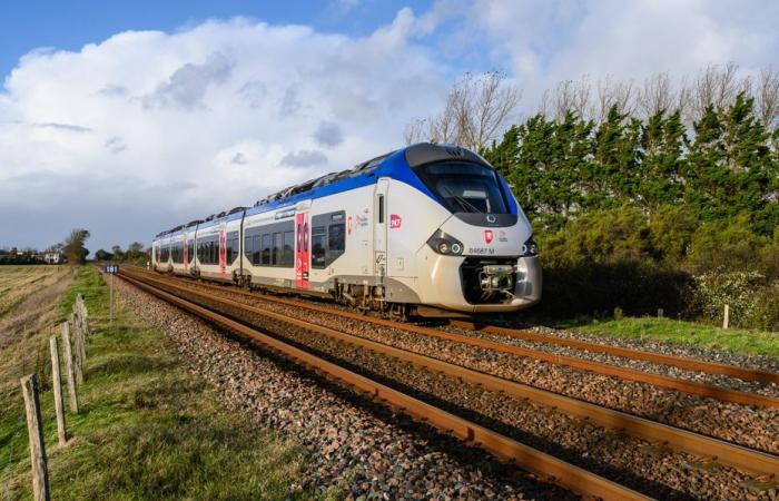 SNCF traffic interrupted between Poitiers and La Rochelle after an accident in Deux-Sèvres