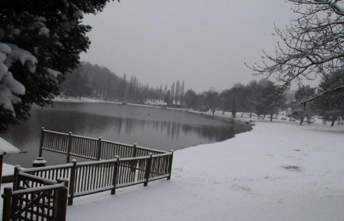 EN IMAGES. Le pays de Flers se réveille sous la neige : un décor de Noël