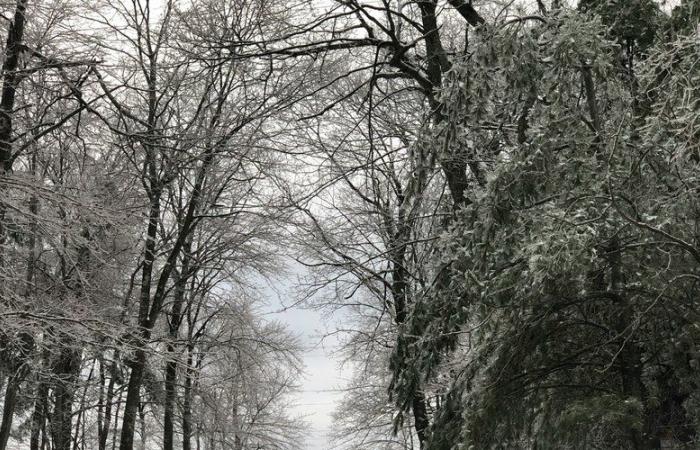 54 départements en vigilance orange neige, verglas et vent, le point sur les prévisions