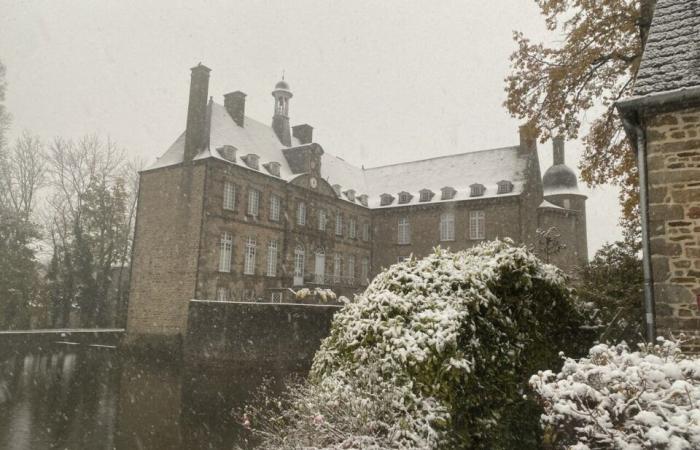 EN IMAGES. Le pays de Flers se réveille sous la neige : un décor de Noël