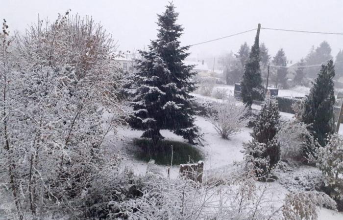 EN IMAGES. Le pays de Flers se réveille sous la neige : un décor de Noël