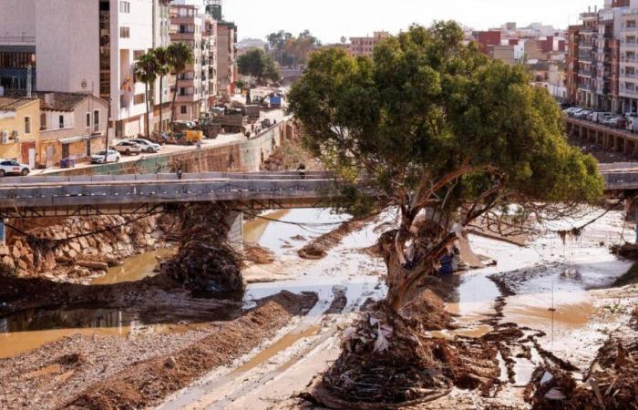 Après Valence, comment adapter les villes méditerranéennes aux inondations