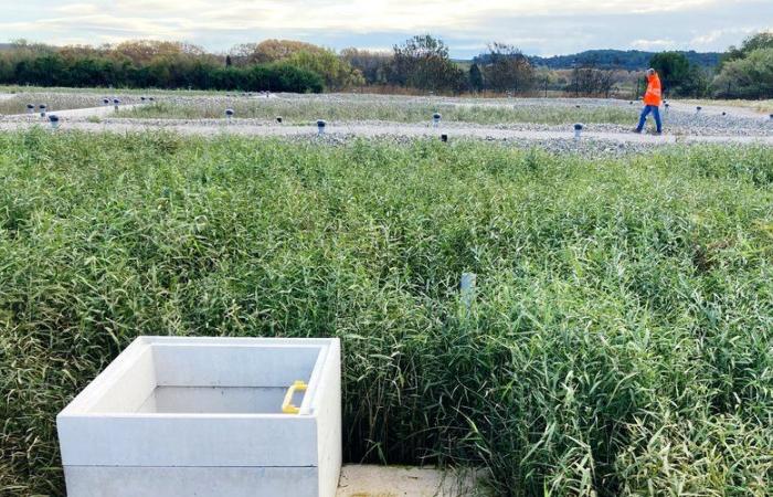 La nouvelle station d’épuration va améliorer la qualité des eaux de baignade dans l’Hérault