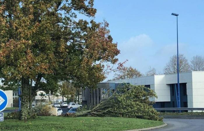 La Vendée en vigilance orange, plusieurs interventions des pompiers ce jeudi matin