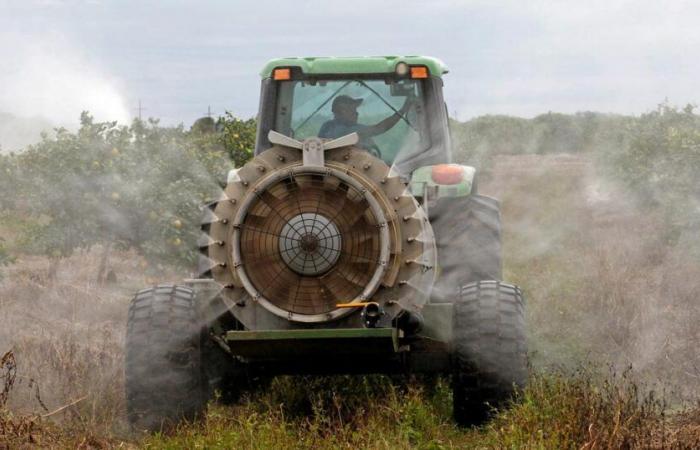 Les pesticides autorisés en Europe devraient « être autorisés aussi en France », insiste le ministre de l’Agriculture