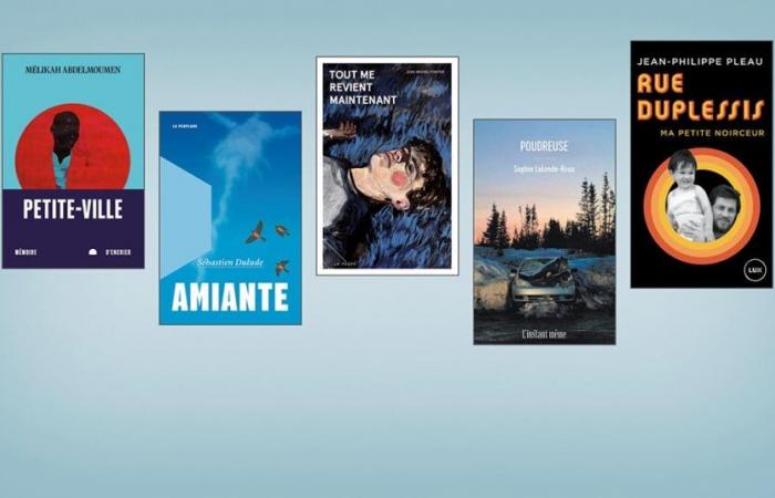 C’est parti pour le Prix littéraire des collégiens — Revue Les libraires