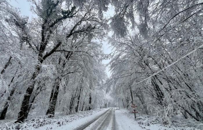 un jour de neige très rare en novembre