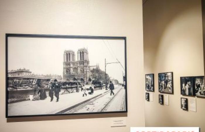 l’exposition gratuite à la galerie Roger-Viollet