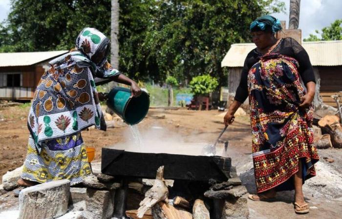 des écarts très marqués de taux d’emploi entre femmes et hommes à Mayotte et en Guyane