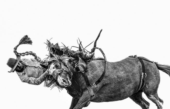 The Images Publishing Group : Anouk Krantz : Frontier : Cowboys des Amériques